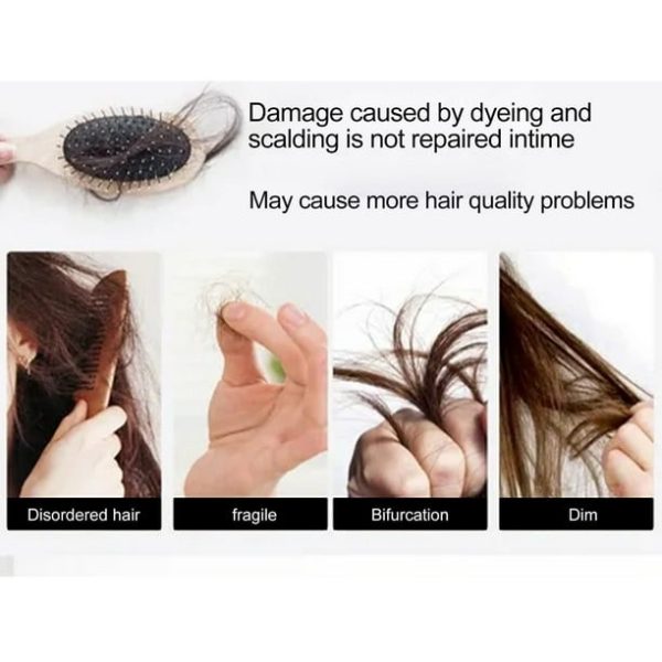 ⁦• rosemary hair care⁩ - الصورة ⁦8⁩